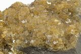 Gemmy, Yellow Fluorite Crystals - Moscona Mine, Spain #188324-4